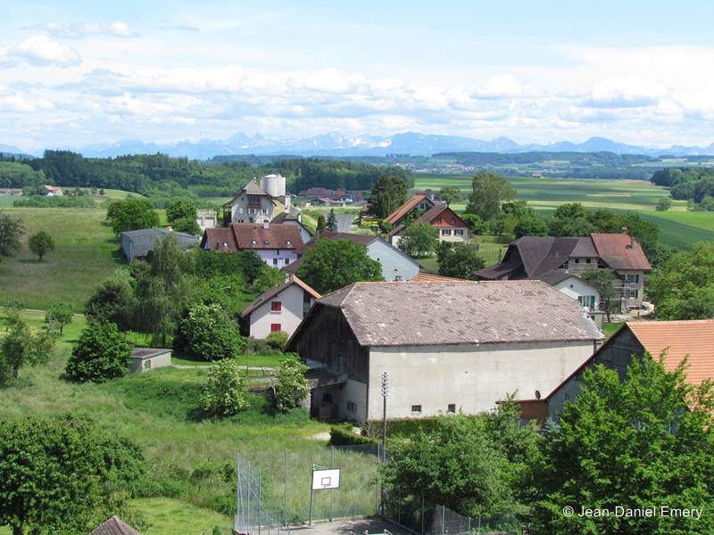 Image_1