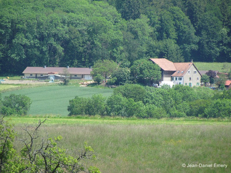 Image_2