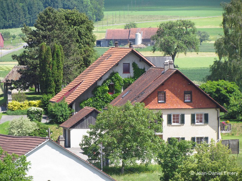 Image_20