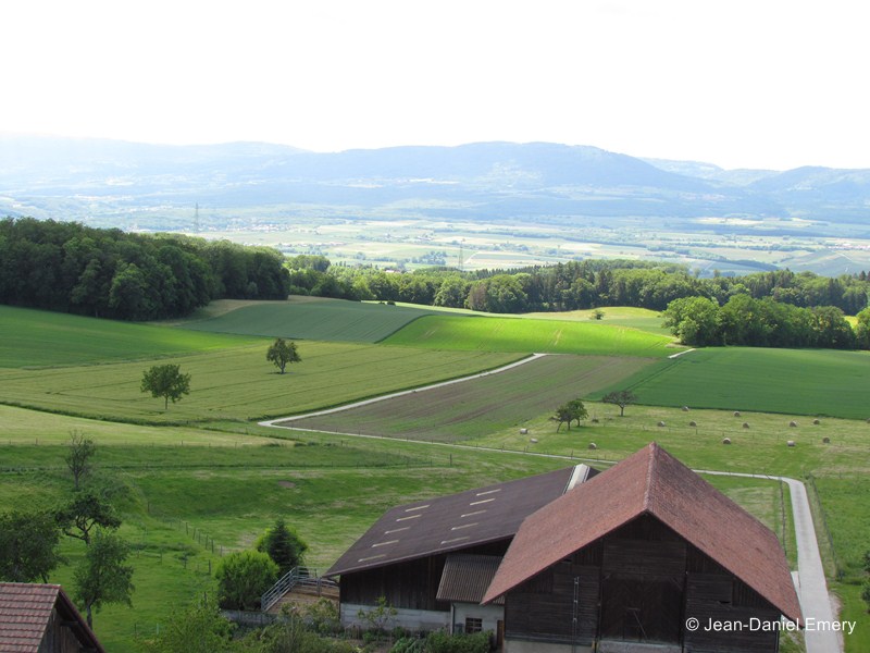 Image_25