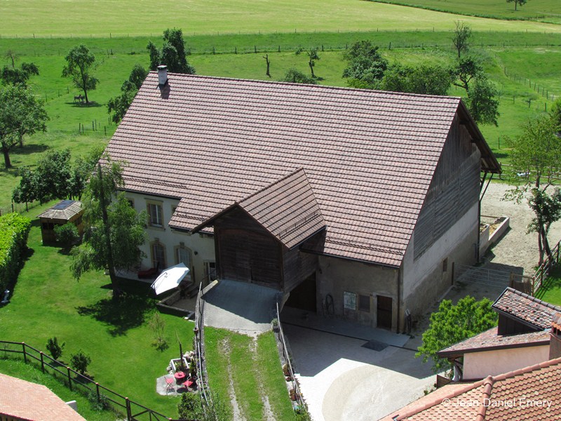 Image_6