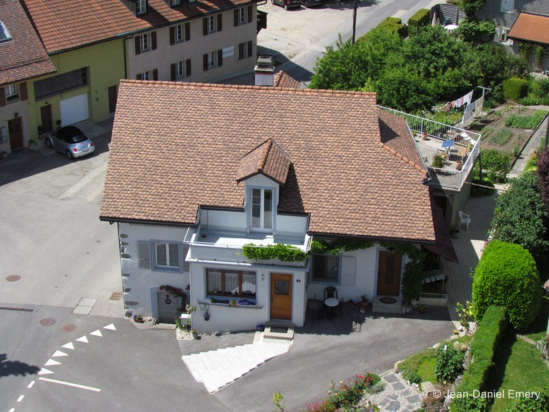 Image_8
