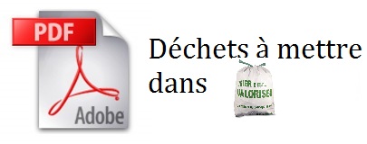 bouton-dechets-a-mettre-dans-sac-officiel